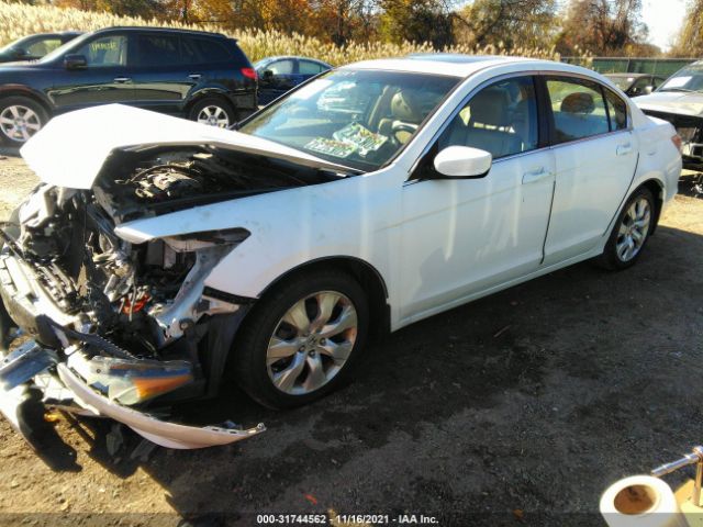 Photo 1 VIN: 1HGCP2F80AA033112 - HONDA ACCORD SDN 