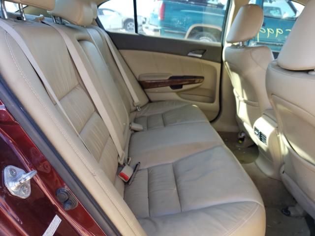 Photo 5 VIN: 1HGCP2F80AA109766 - HONDA ACCORD EXL 