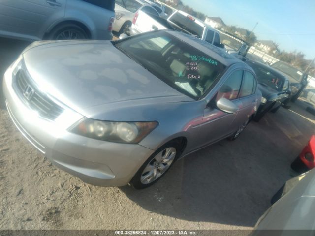 Photo 1 VIN: 1HGCP2F80AA116801 - HONDA ACCORD 