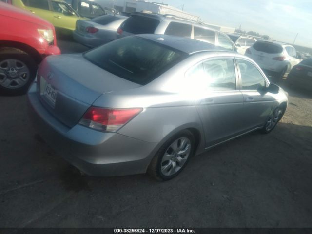 Photo 3 VIN: 1HGCP2F80AA116801 - HONDA ACCORD 