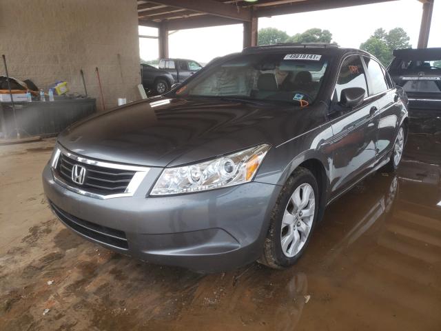 Photo 1 VIN: 1HGCP2F80AA132304 - HONDA ACCORD EXL 