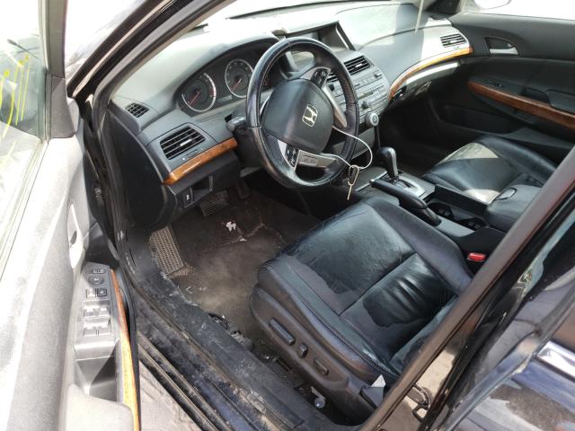 Photo 8 VIN: 1HGCP2F80BA014447 - HONDA ACCORD EXL 