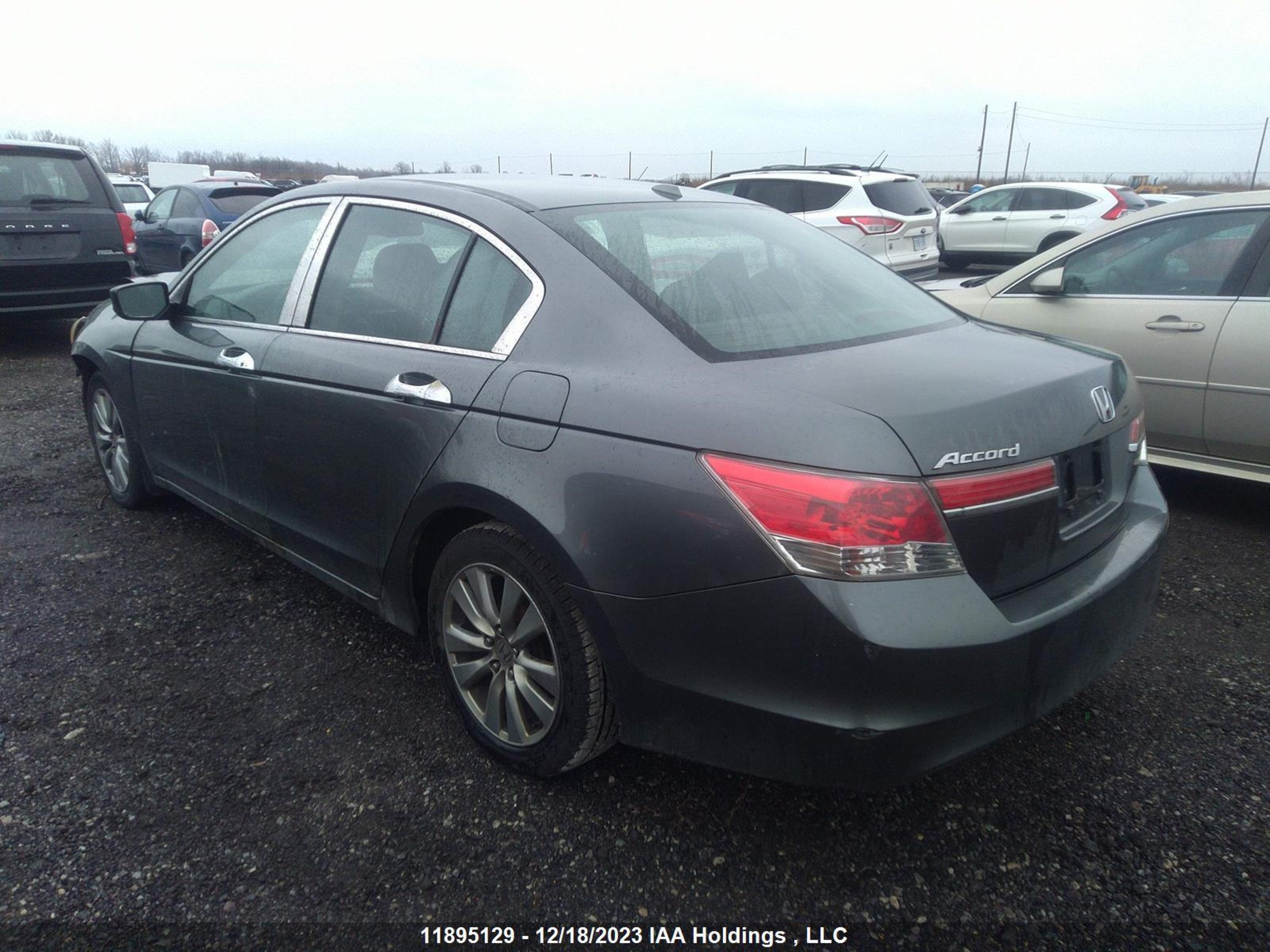 Photo 2 VIN: 1HGCP2F80BA803553 - HONDA ACCORD 