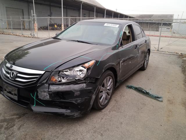 Photo 8 VIN: 1HGCP2F80CA002106 - HONDA ACCORD EXL 