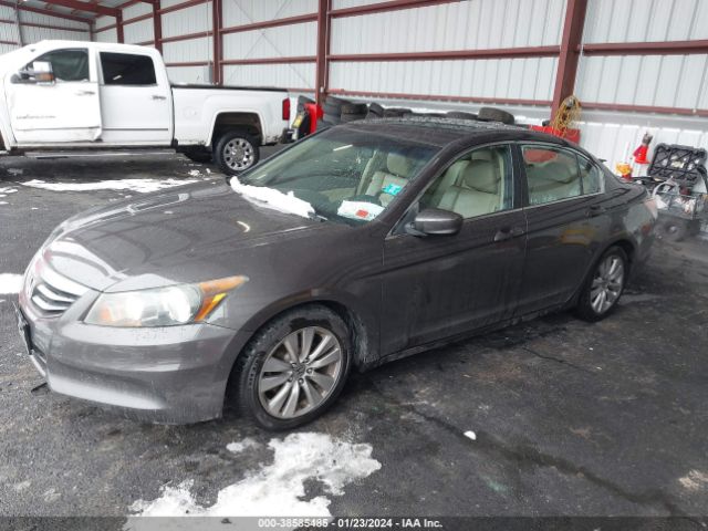 Photo 1 VIN: 1HGCP2F80CA081678 - HONDA ACCORD 