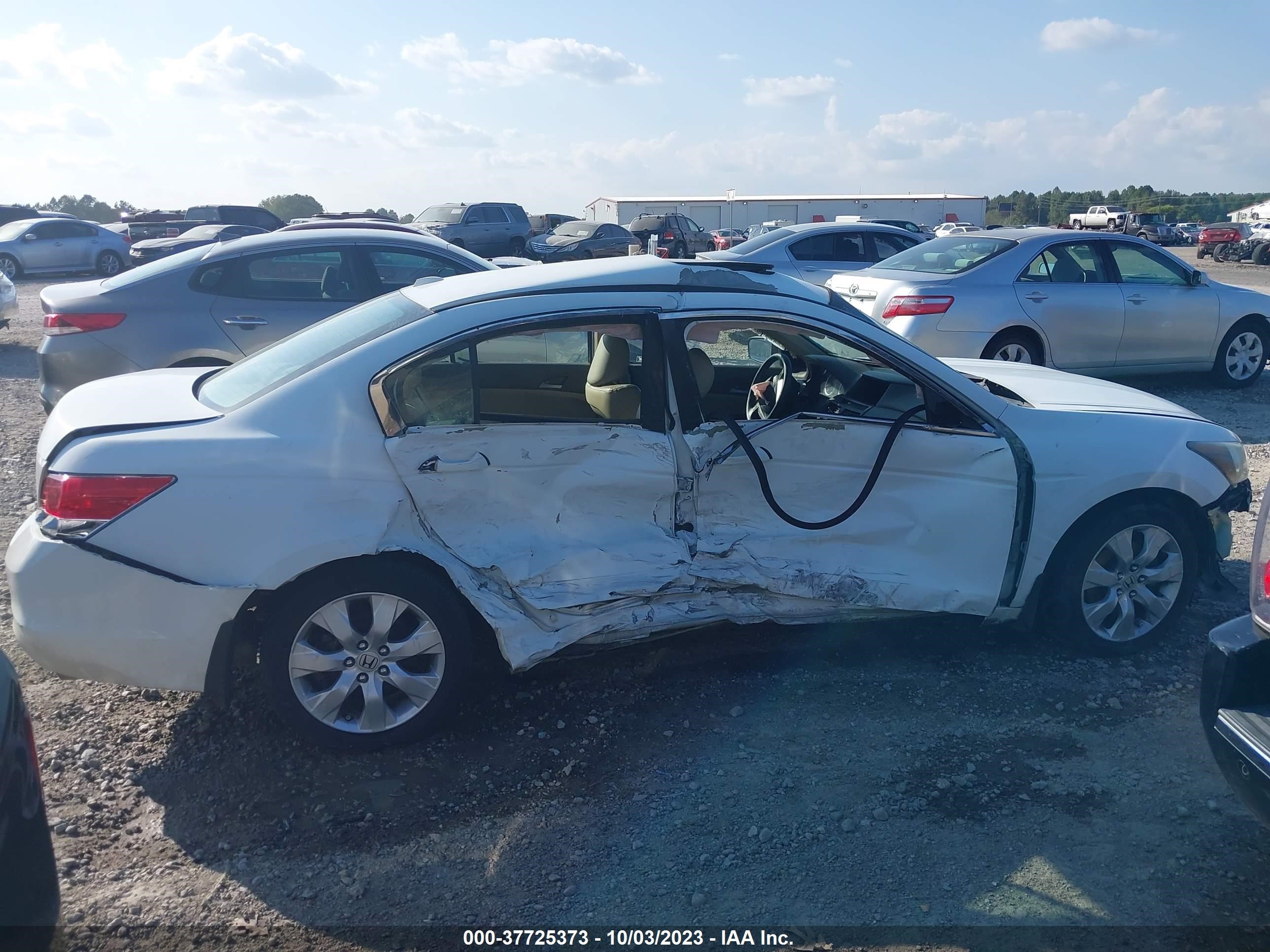 Photo 12 VIN: 1HGCP2F81AA099099 - HONDA ACCORD 