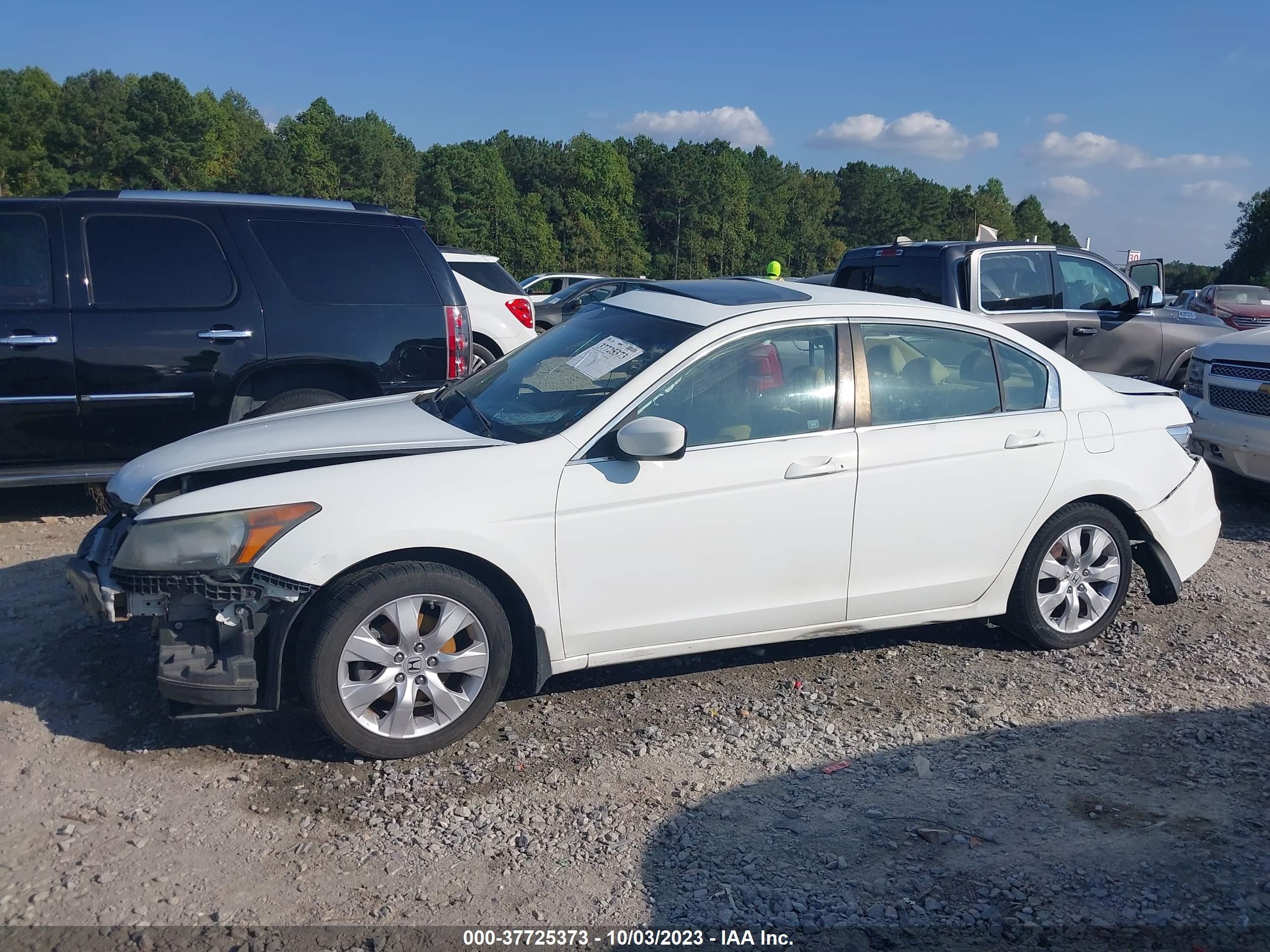 Photo 13 VIN: 1HGCP2F81AA099099 - HONDA ACCORD 