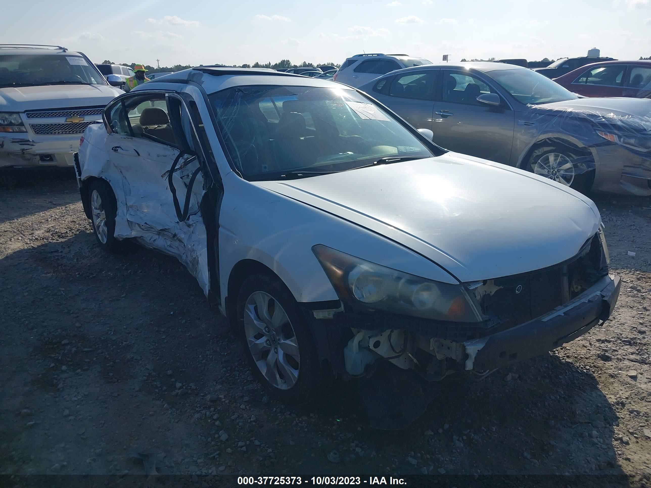 Photo 5 VIN: 1HGCP2F81AA099099 - HONDA ACCORD 