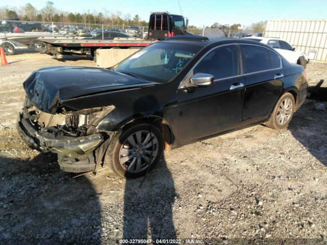 Photo 1 VIN: 1HGCP2F81BA010519 - HONDA ACCORD SDN 