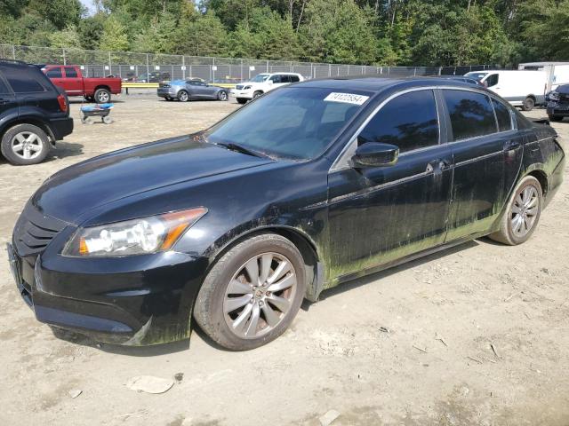 Photo 0 VIN: 1HGCP2F81BA153017 - HONDA ACCORD EXL 