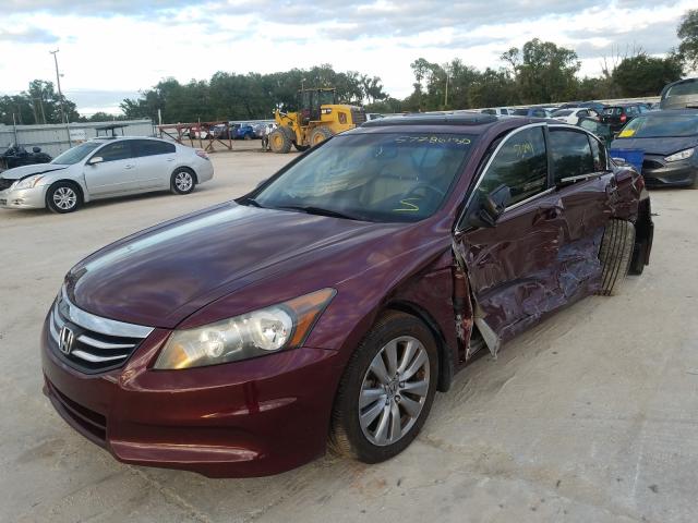 Photo 1 VIN: 1HGCP2F81CA132444 - HONDA ACCORD EXL 