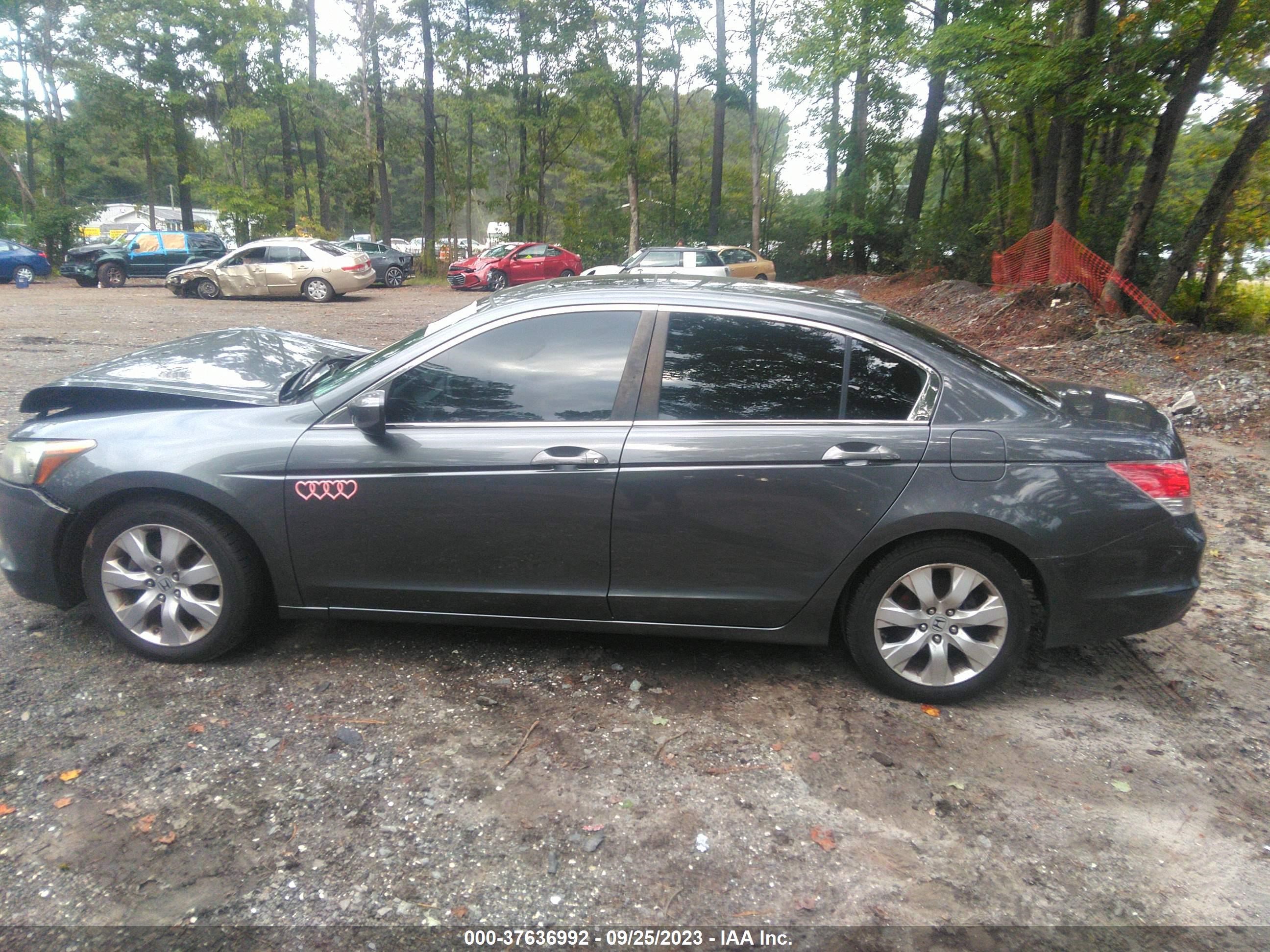 Photo 12 VIN: 1HGCP2F82AA000600 - HONDA ACCORD 