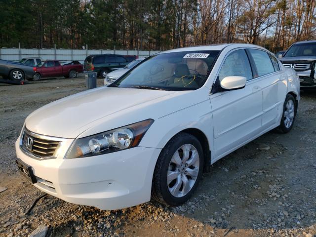 Photo 1 VIN: 1HGCP2F82AA186025 - HONDA ACCORD EXL 