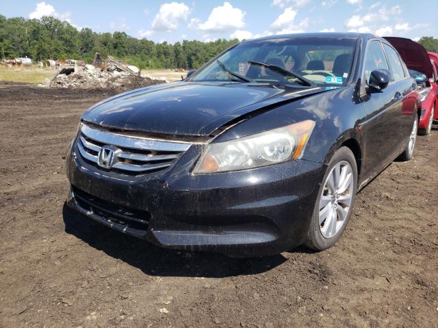 Photo 1 VIN: 1HGCP2F82BA053508 - HONDA ACCORD EXL 