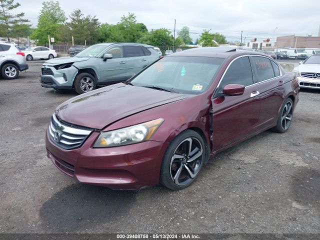 Photo 5 VIN: 1HGCP2F82BA095564 - HONDA ACCORD 