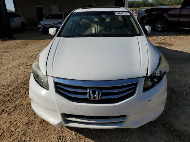 Photo 4 VIN: 1HGCP2F82CA141668 - HONDA ACCORD 