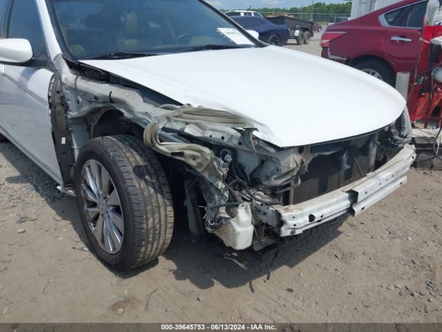 Photo 5 VIN: 1HGCP2F83AA131759 - HONDA ACCORD 