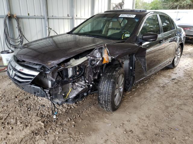 Photo 1 VIN: 1HGCP2F83BA148238 - HONDA ACCORD EXL 