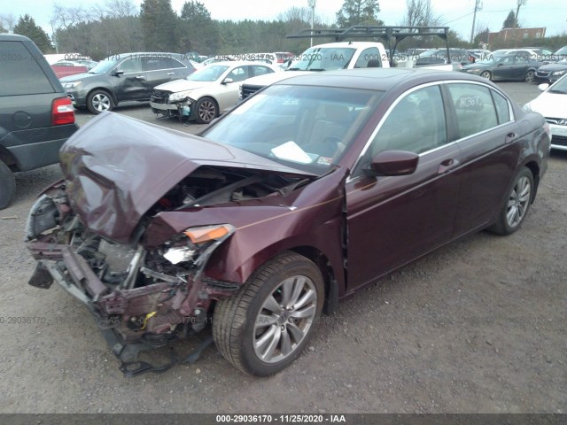 Photo 1 VIN: 1HGCP2F84CA189107 - HONDA ACCORD SDN 