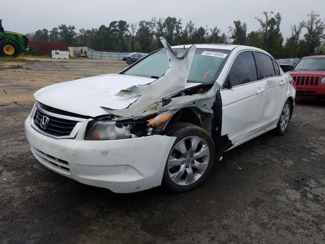 Photo 1 VIN: 1HGCP2F85AA137157 - HONDA ACCORD EXL 