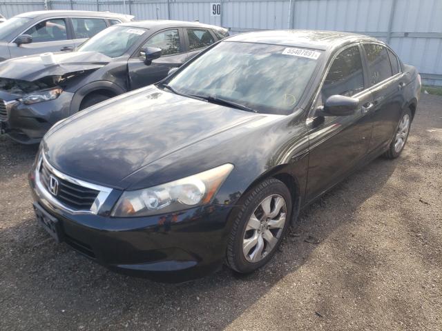 Photo 1 VIN: 1HGCP2F85AA802302 - HONDA ACCORD EXL 