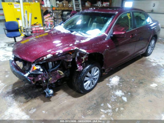 Photo 1 VIN: 1HGCP2F85BA007770 - HONDA ACCORD 