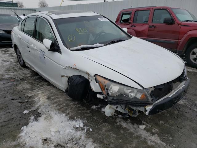 Photo 0 VIN: 1HGCP2F87BA027714 - HONDA ACCORD EXL 