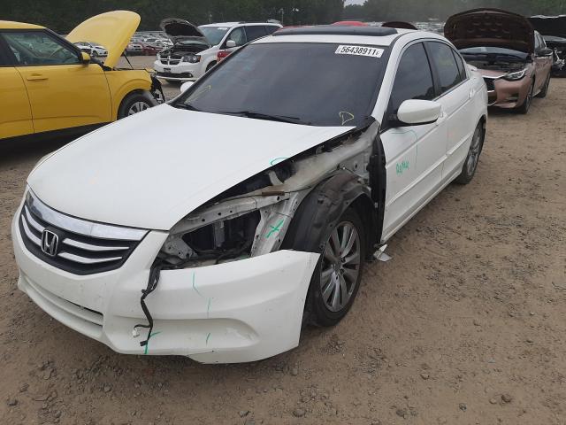 Photo 8 VIN: 1HGCP2F87CA046054 - HONDA ACCORD EXL 