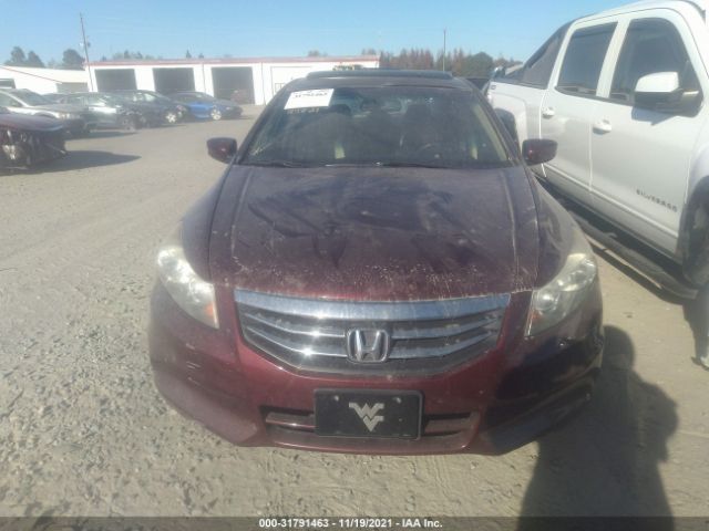 Photo 5 VIN: 1HGCP2F88BA032615 - HONDA ACCORD SDN 