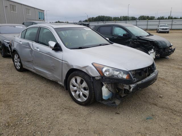 Photo 0 VIN: 1HGCP2F89AA804585 - HONDA ACCORD EXL 