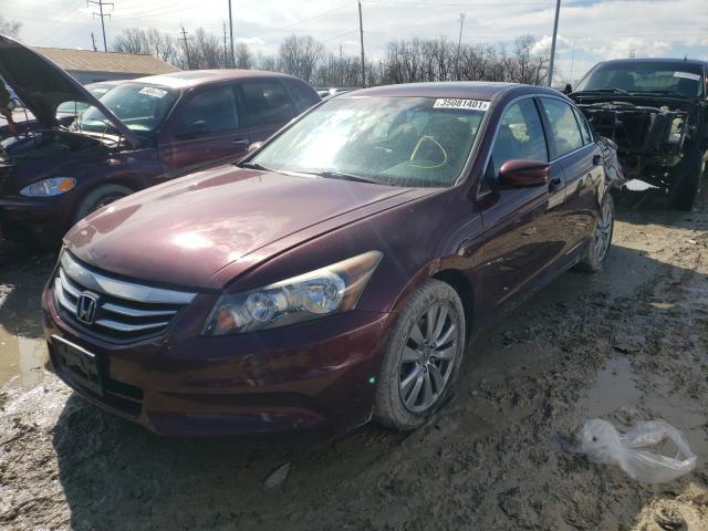 Photo 1 VIN: 1HGCP2F89BA114983 - HONDA ACCORD EXL 