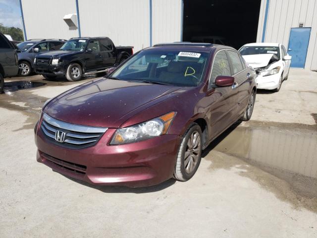 Photo 1 VIN: 1HGCP2F89CA185716 - HONDA ACCORD EXL 