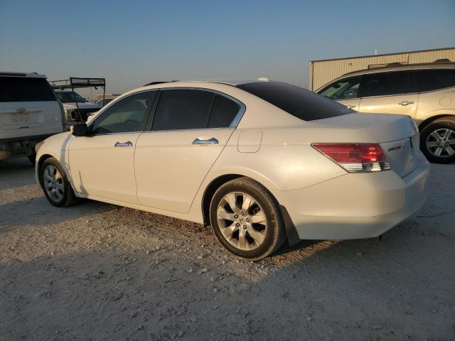 Photo 1 VIN: 1HGCP36808A075778 - HONDA ACCORD EXL 