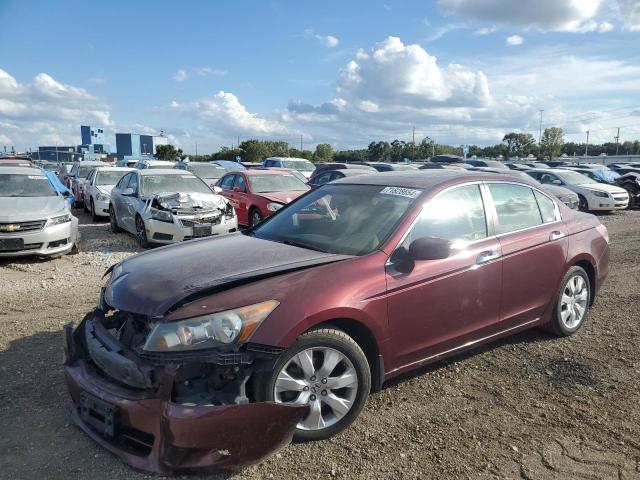 Photo 0 VIN: 1HGCP36828A075541 - HONDA ACCORD EXL 