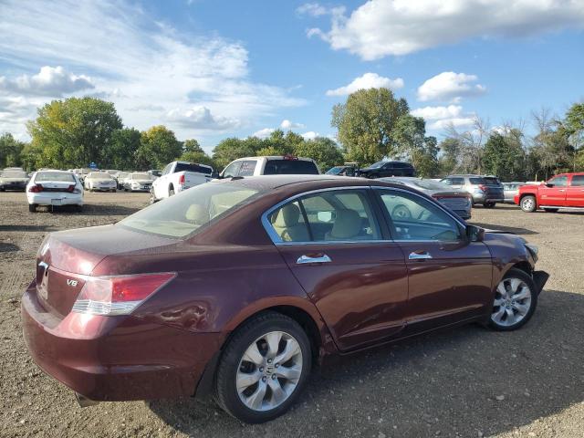 Photo 2 VIN: 1HGCP36828A075541 - HONDA ACCORD EXL 