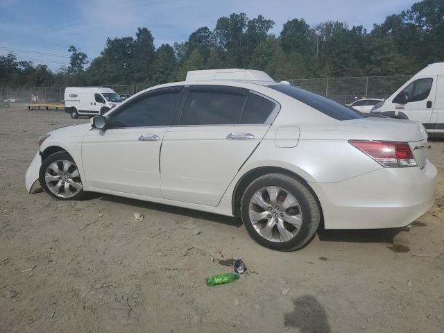 Photo 1 VIN: 1HGCP36858A025636 - HONDA ACCORD EXL 