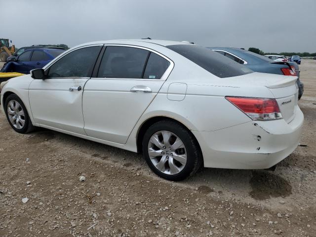 Photo 1 VIN: 1HGCP36859A009969 - HONDA ACCORD 