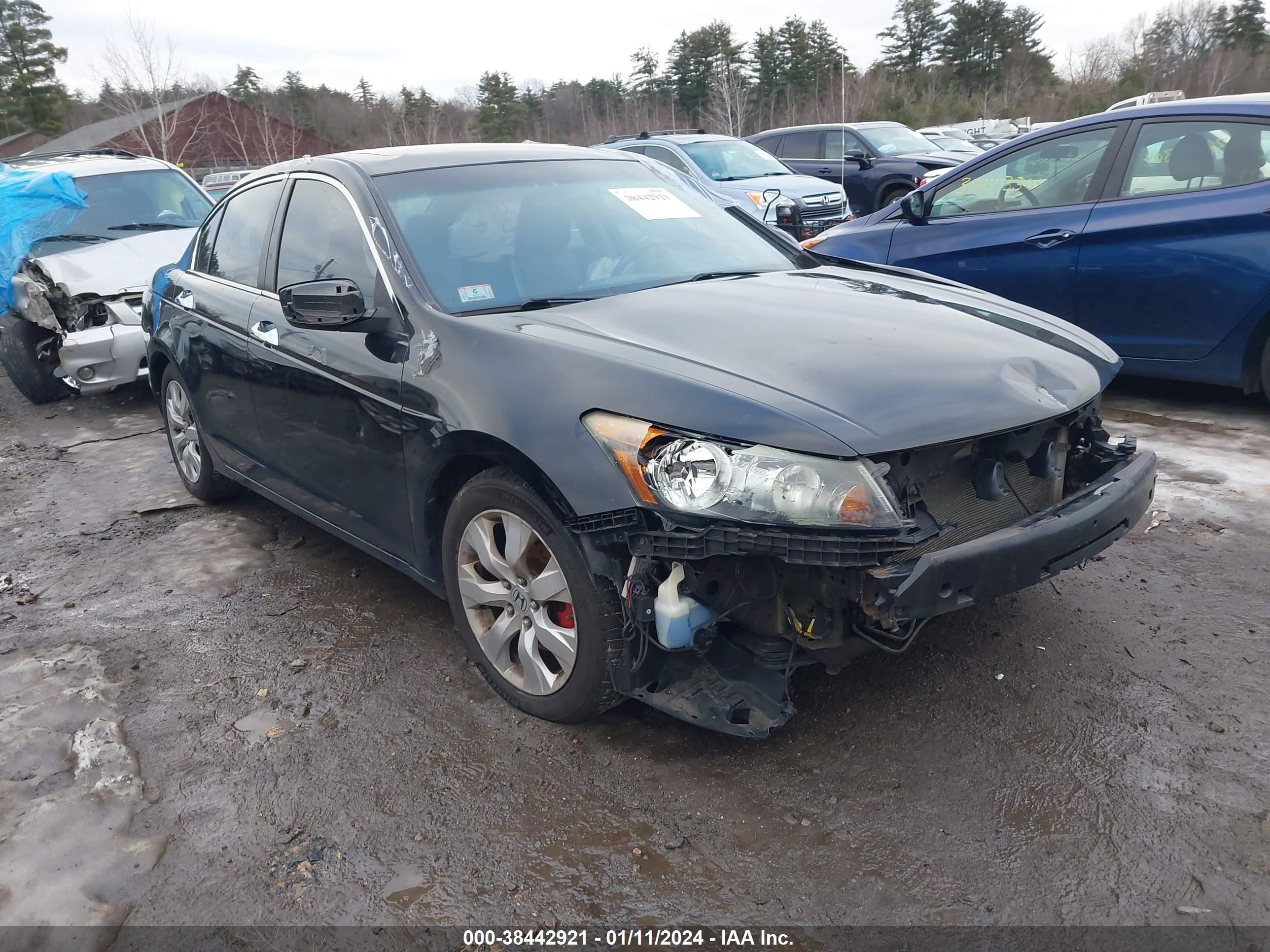 Photo 0 VIN: 1HGCP36888A033598 - HONDA ACCORD 