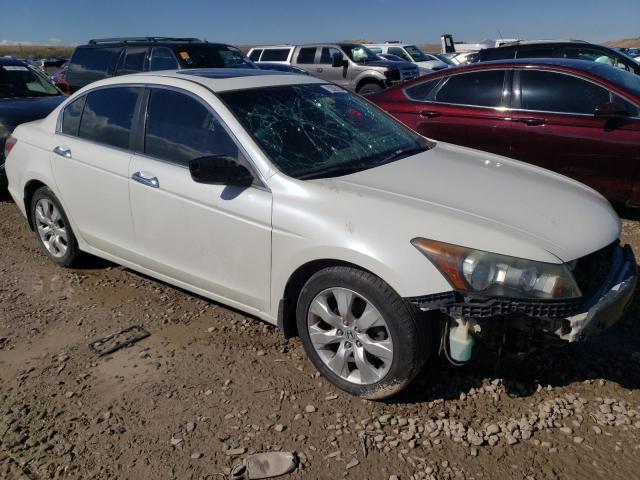 Photo 3 VIN: 1HGCP36898A037532 - HONDA ACCORD EXL 