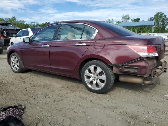 Photo 1 VIN: 1HGCP368X8A065811 - HONDA ACCORD 