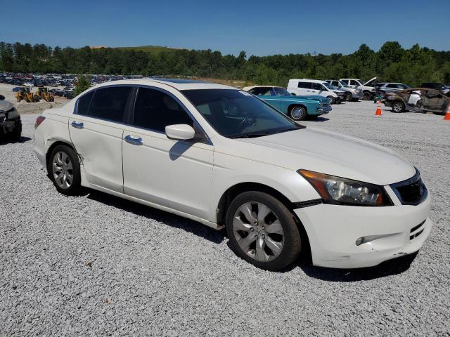 Photo 3 VIN: 1HGCP368X9A004248 - HONDA ACCORD 