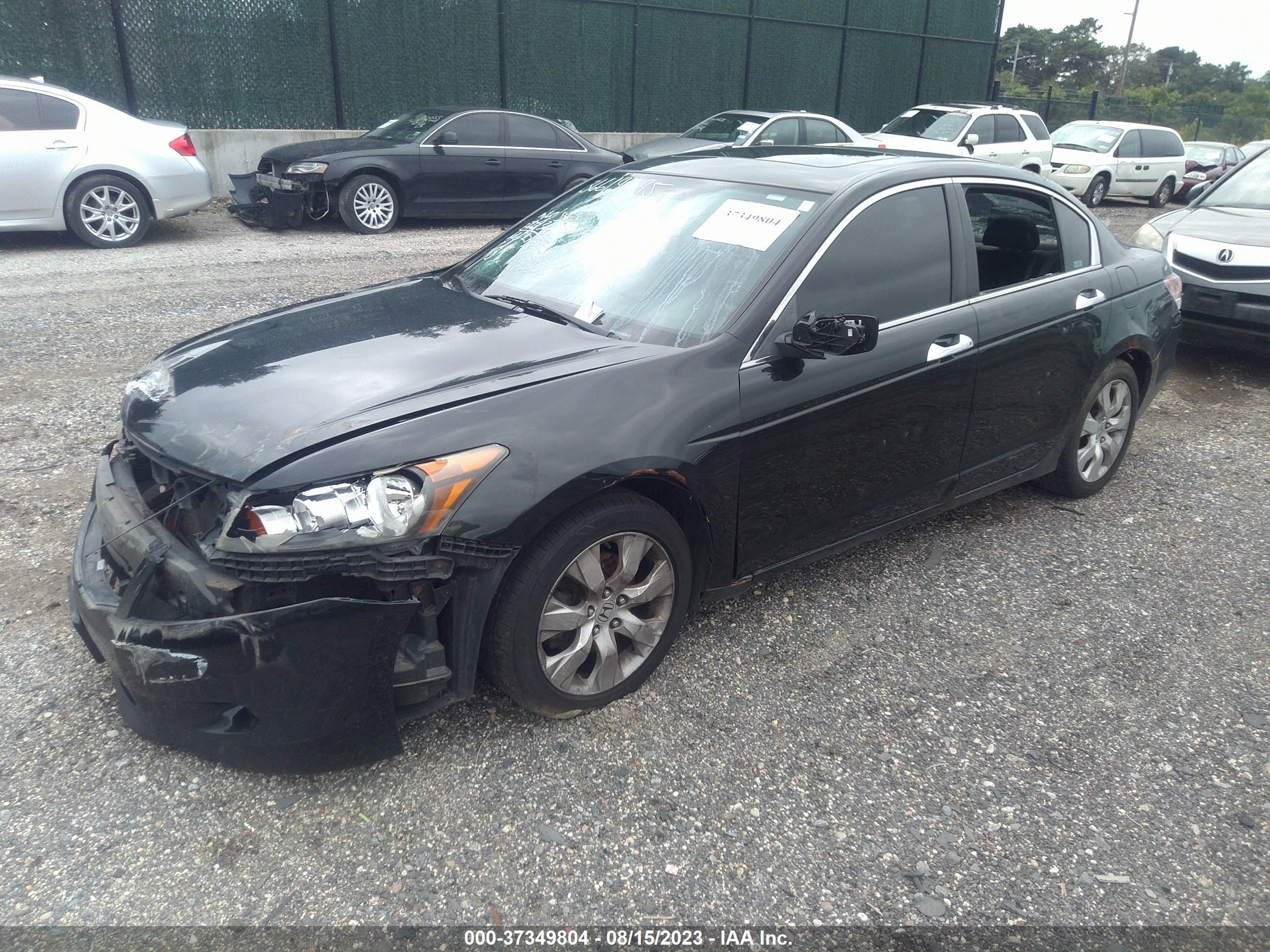 Photo 1 VIN: 1HGCP368X9A046533 - HONDA ACCORD 