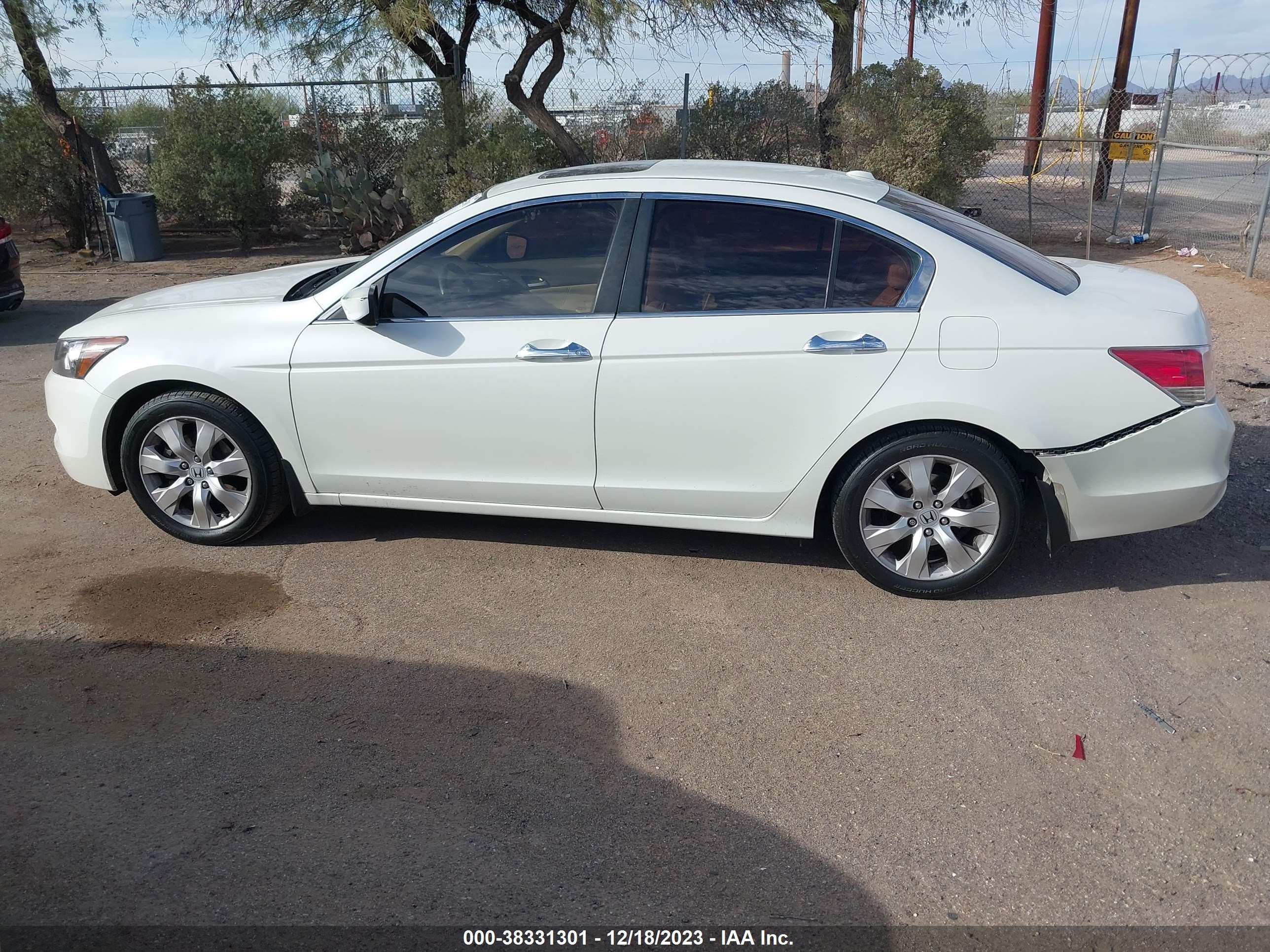 Photo 13 VIN: 1HGCP368X9A048198 - HONDA ACCORD 