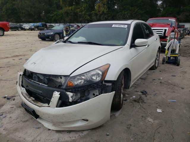 Photo 1 VIN: 1HGCP3F7XAA026391 - HONDA ACCORD EX 