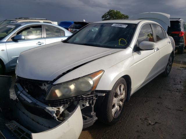 Photo 1 VIN: 1HGCP3F80AA003288 - HONDA ACCORD EXL 