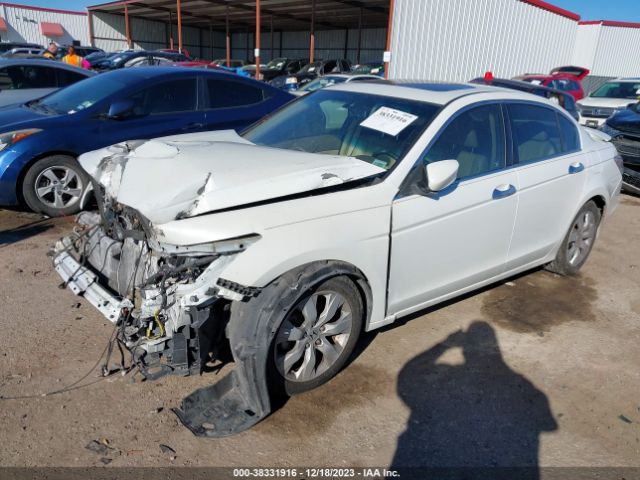 Photo 1 VIN: 1HGCP3F80AA021189 - HONDA ACCORD 