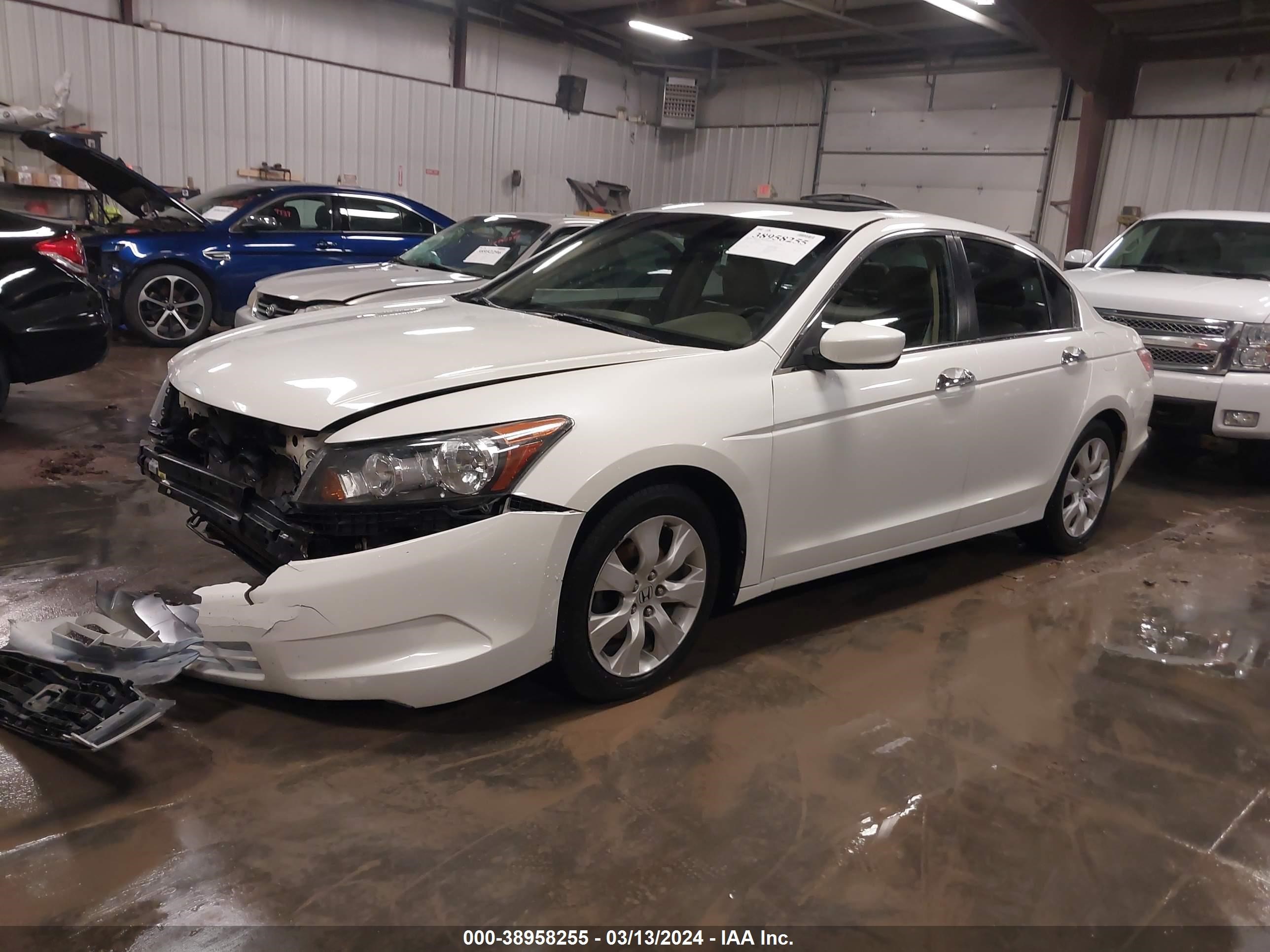 Photo 1 VIN: 1HGCP3F80AA026358 - HONDA ACCORD 