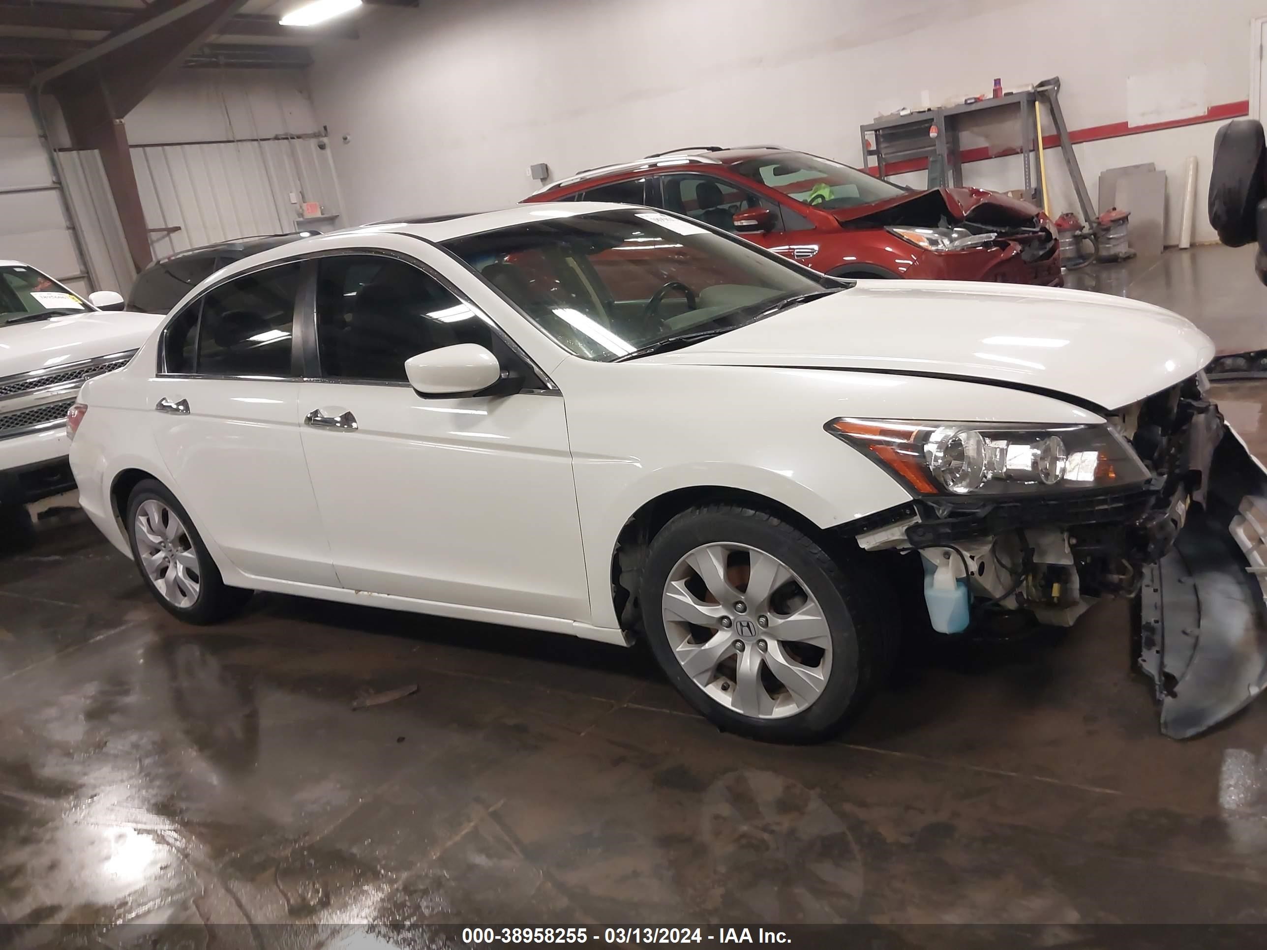 Photo 12 VIN: 1HGCP3F80AA026358 - HONDA ACCORD 