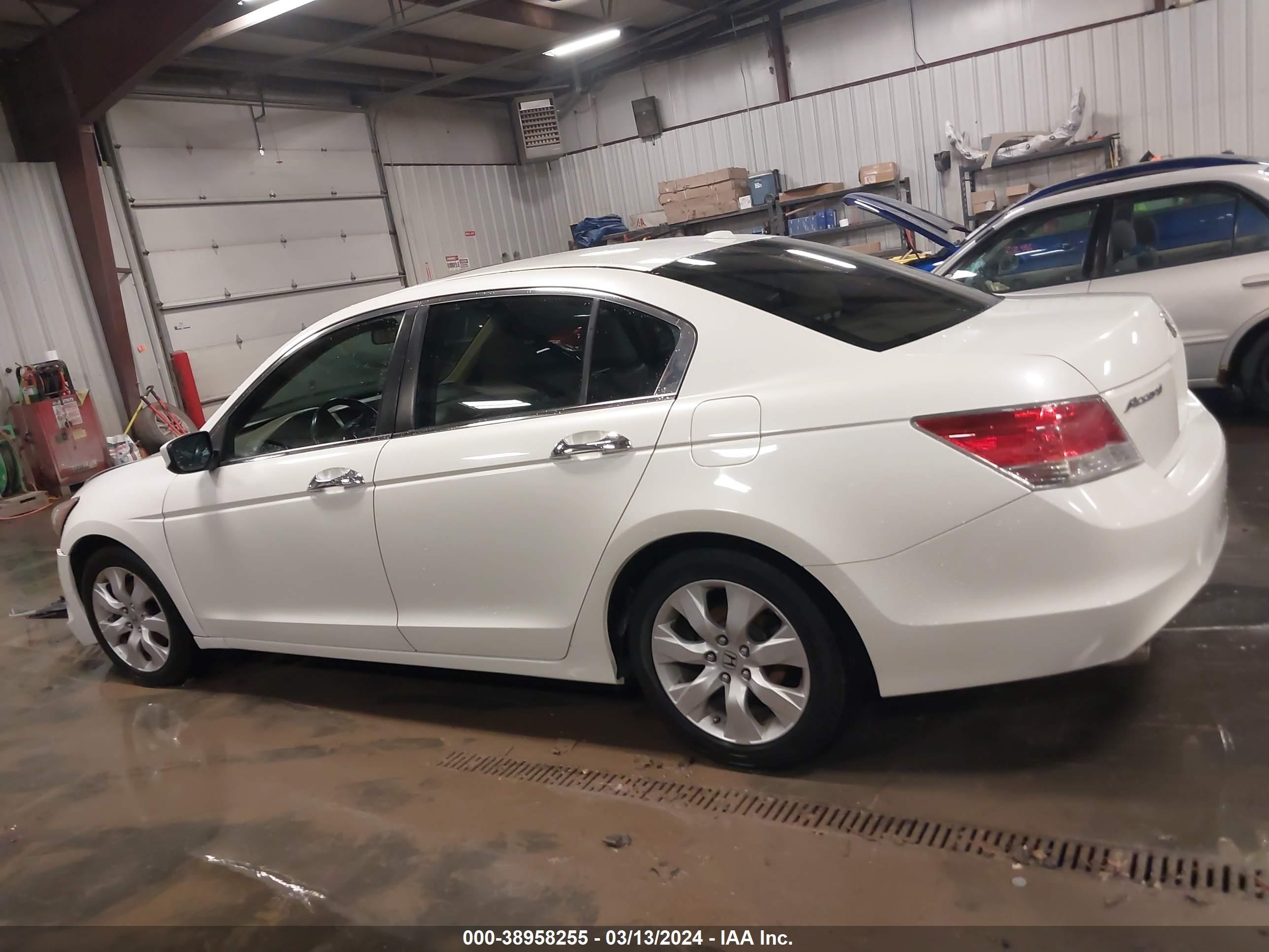 Photo 13 VIN: 1HGCP3F80AA026358 - HONDA ACCORD 