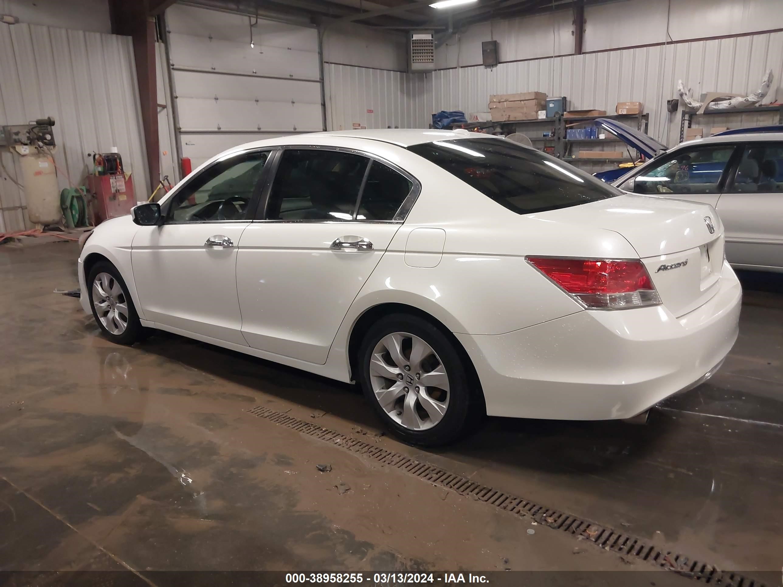 Photo 2 VIN: 1HGCP3F80AA026358 - HONDA ACCORD 